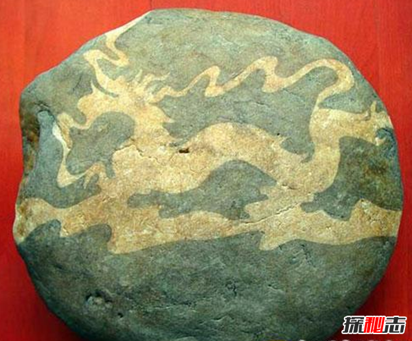 湖北林歸縣工地發(fā)現天然龍形石,圖案完整清晰(重307公斤)