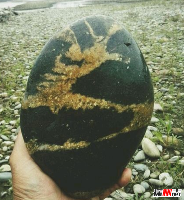 湖北林歸縣工地發(fā)現天然龍形石,圖案完整清晰(重307公斤)