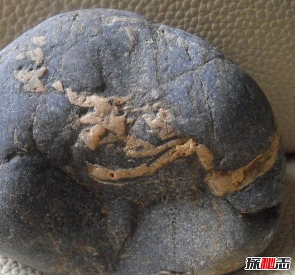 湖北林歸縣工地發(fā)現天然龍形石,圖案完整清晰(重307公斤)