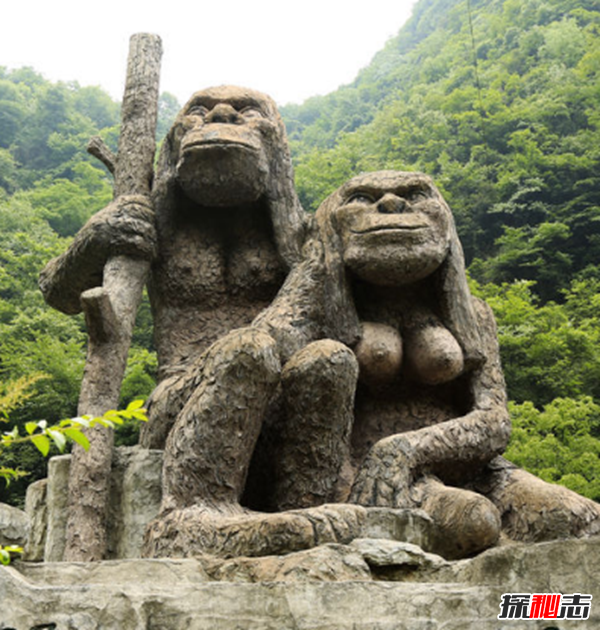湖北神農架動(dòng)物白化之謎,黑色素引起的白化病(返祖白變)