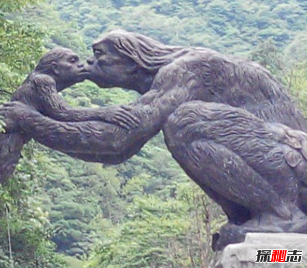 湖北神農架動(dòng)物白化之謎,黑色素引起的白化病(返祖白變)