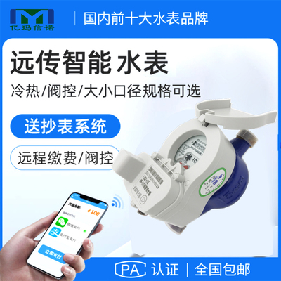 NB遠傳水表