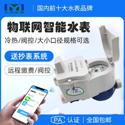 NB遠傳水表