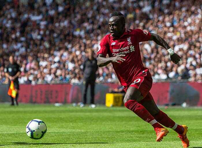 mane.jpg